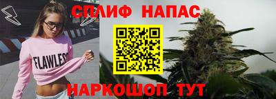стаф Краснодар