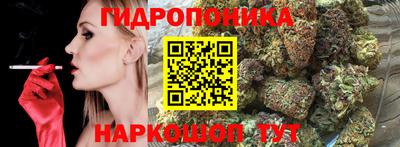 стаф Краснодар