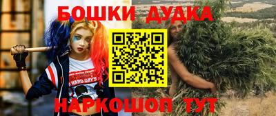 стаф Краснодар