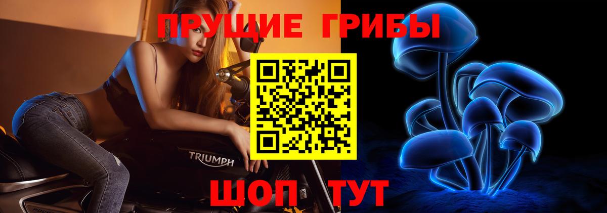 купить  сайты  Галлюциногенные грибы Psilocybine cubensis  Вход с VPN  Кимры 
