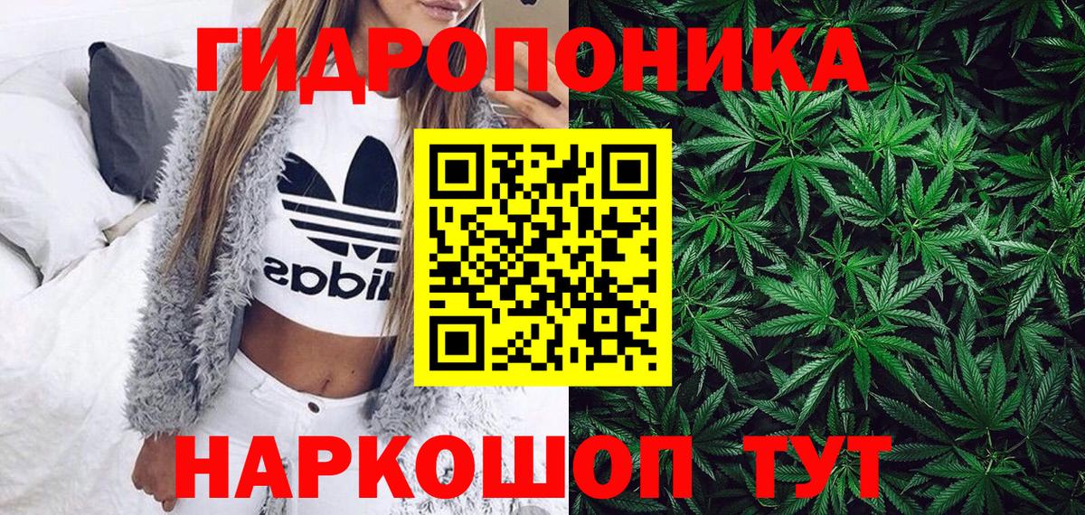 Кимры  Марихуана Ganja  Канабис LSD WEED  Марихуана план  Вход с VPN  МАРИХУАНА марихуана 